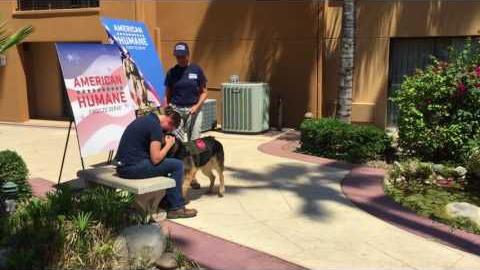 Watch Davis-Monthan staff sergeant reunite with canine partner